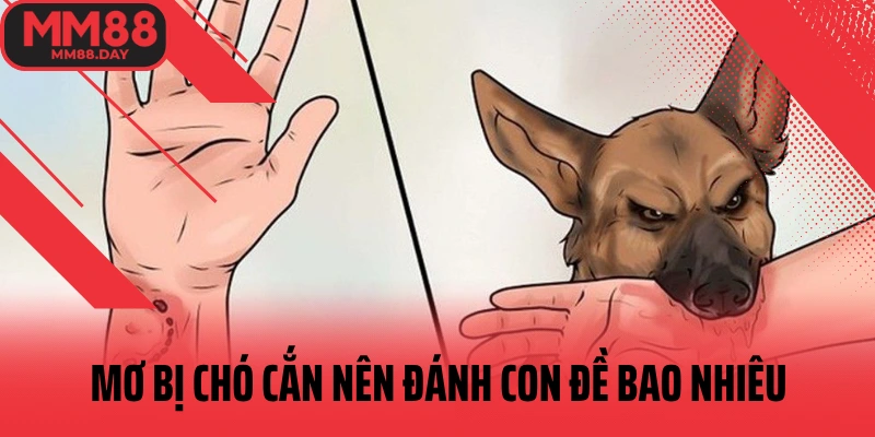 mo-bi-cho-can-nen-danh-con-de-bao-nhieu