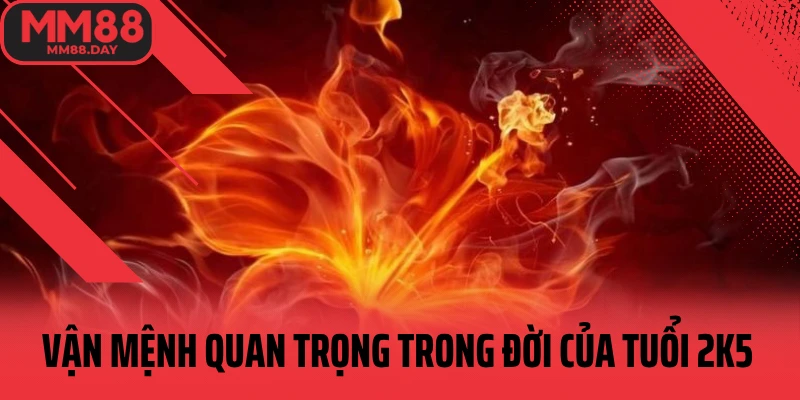 van-menh-quan-trong-trong-doi-cua-tuoi-2k5